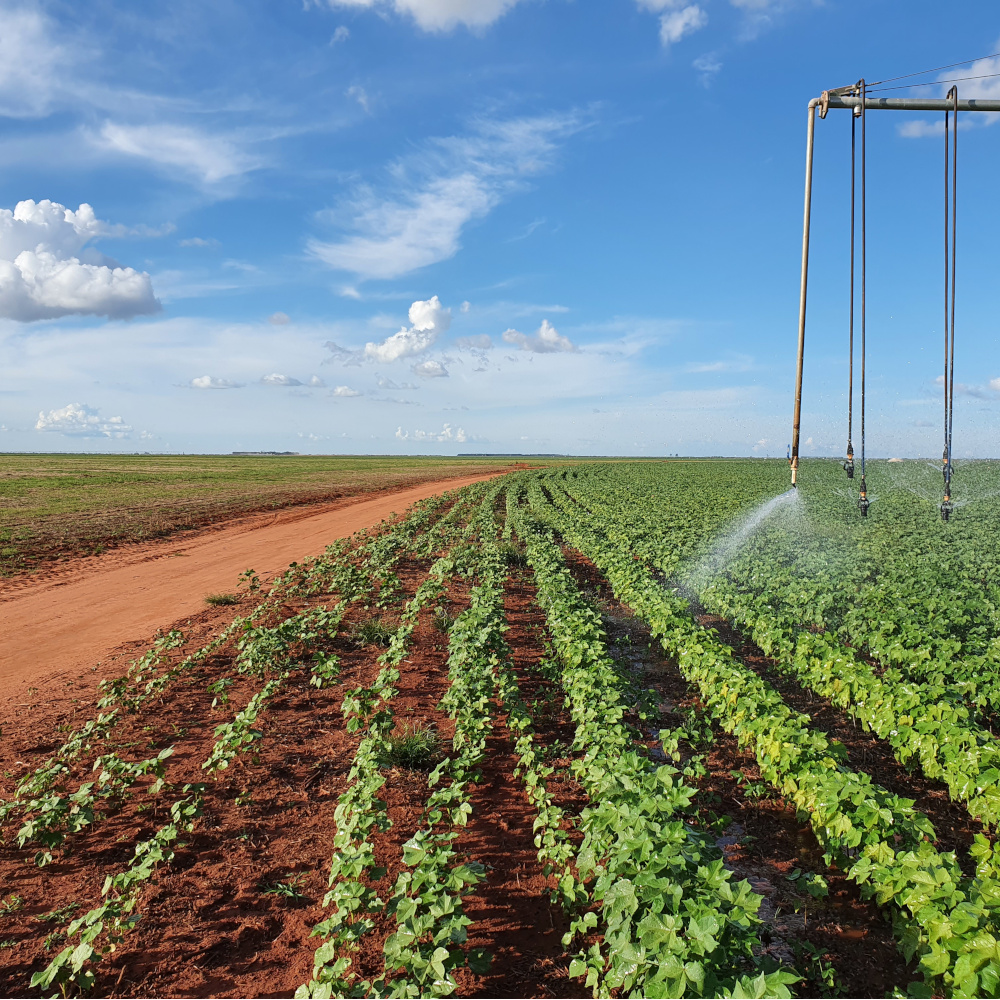 Irrigation training: End of System Solutions